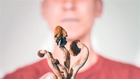 can you get addicted to mushrooms
